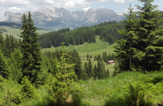 alpine-vecation-alpe-di-siusi-south-tirol-02