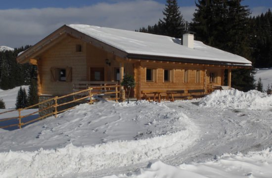 alpine-vecation-alpe-di-siusi-south-tirol-03